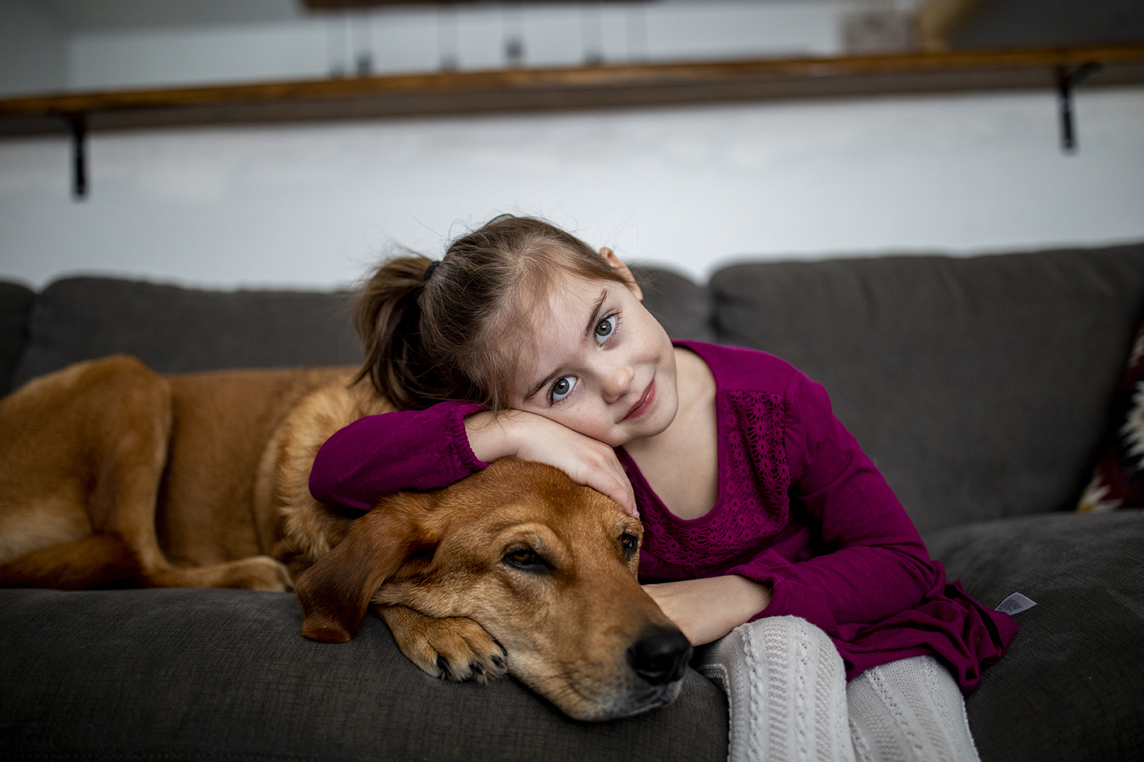 Little girl sitting on a sofa, hugging a brown dog.